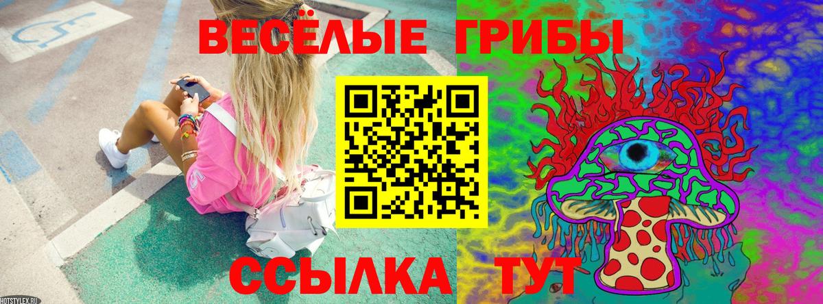 наркотики  Псилоцибиновые грибы мухоморы  Вход с VPN  Новоалександровск 