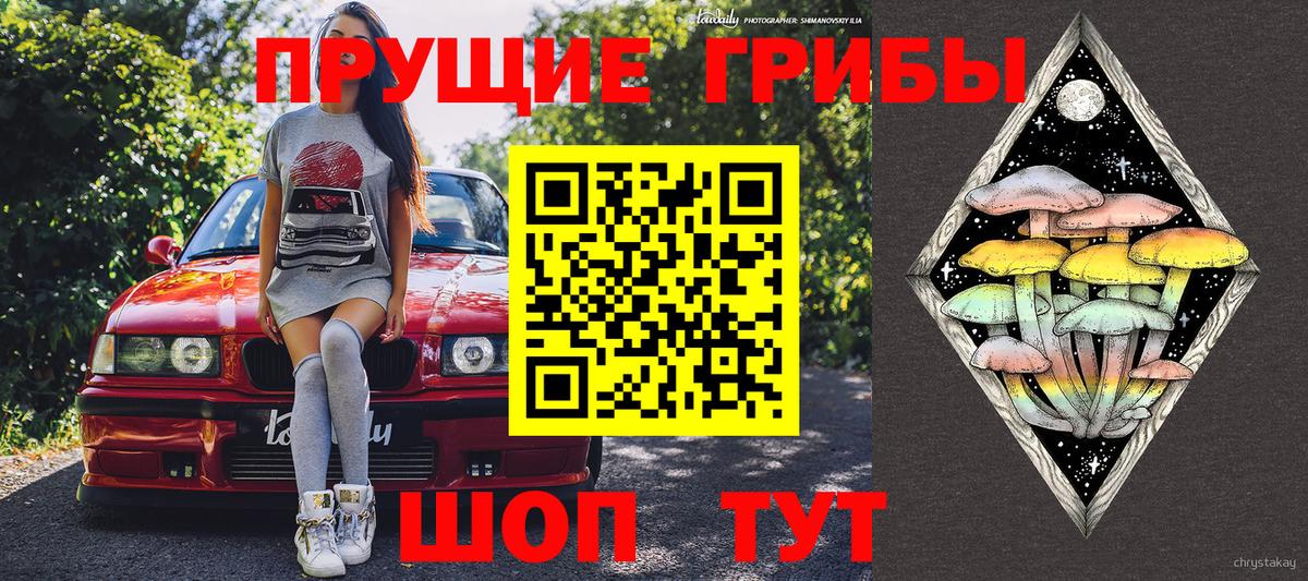 Псилоцибиновые грибы MAGIC MUSHROOMS Новоалександровск